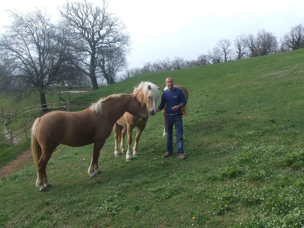 Agriturismo Lusani Caprino Veronese Bagian luar foto